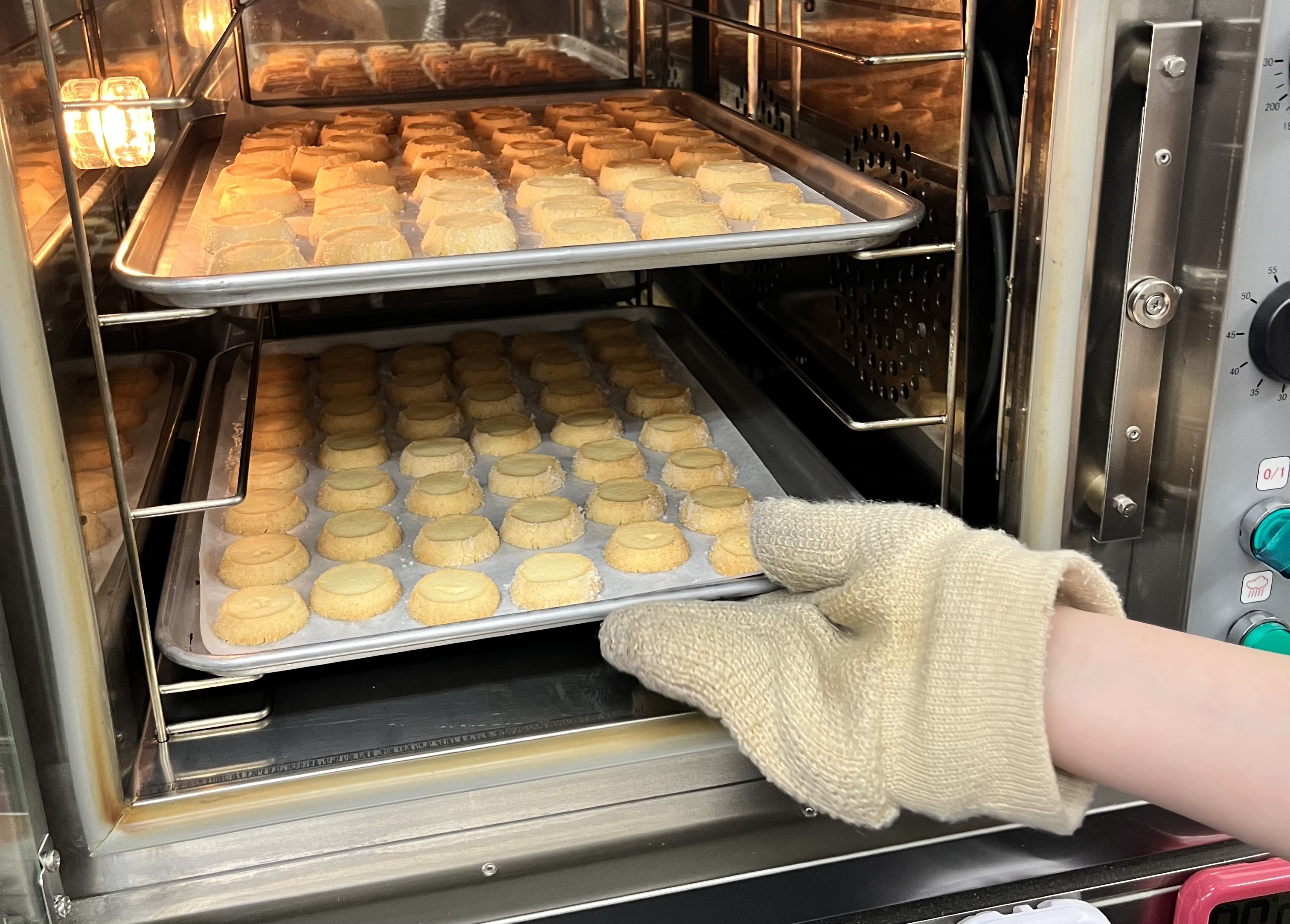 できたての写真